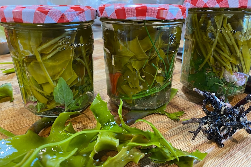 Jars with green seaweed in brine with red lids.