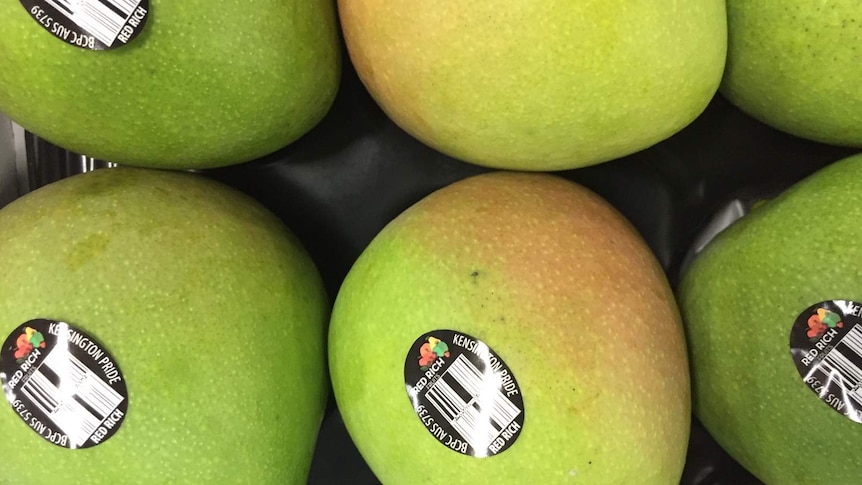 Close up of mangoes