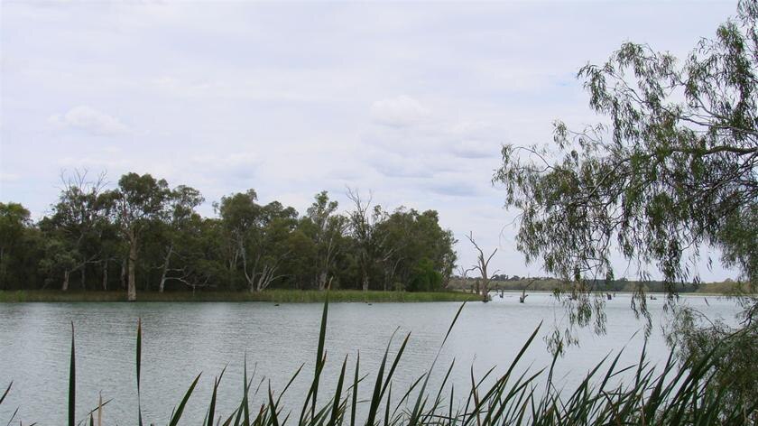 Rising river levels on the Murray