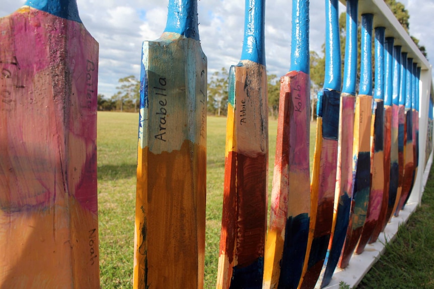 Close up photo of a row of painted cricket bats