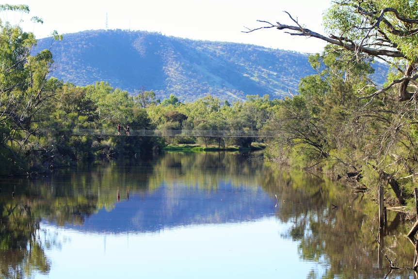 Two people walking on a swing bridge over a calm river with a hill behind and trees all around