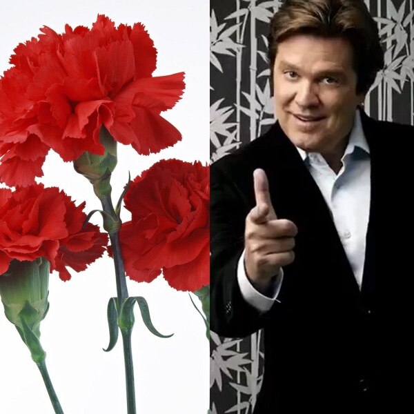 three red carnations and a man in a black suit right arm extended making a trigger sign