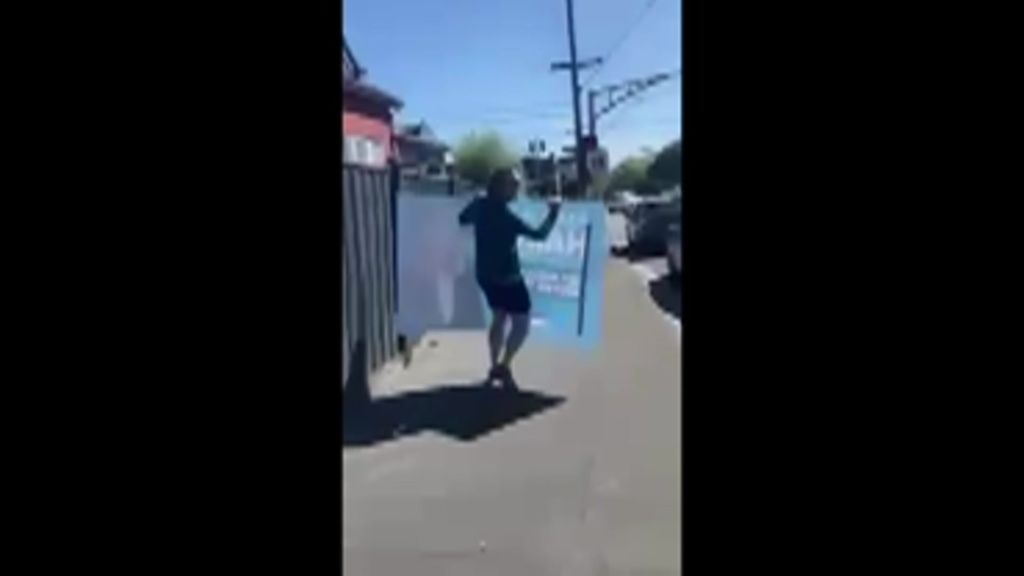 Monique Ryan and Husband Caught in Political Sign Controversy