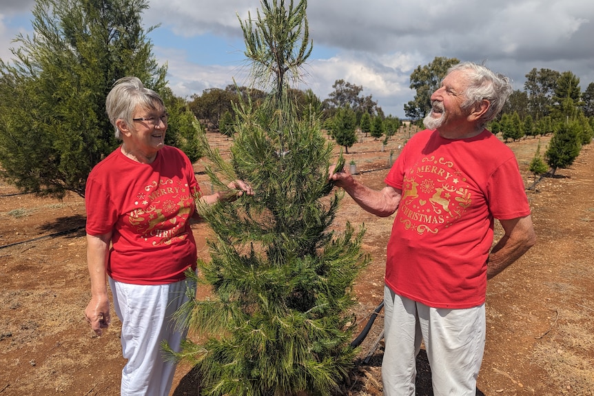Ed and Marg, a fair-skinned, elderly couple in matching red shirts stand by a Christmas tree