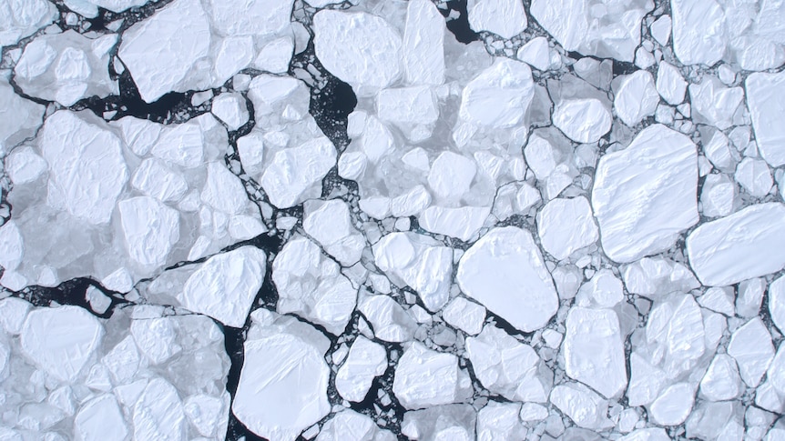 An aerial view of white ice breaking up on a black sea