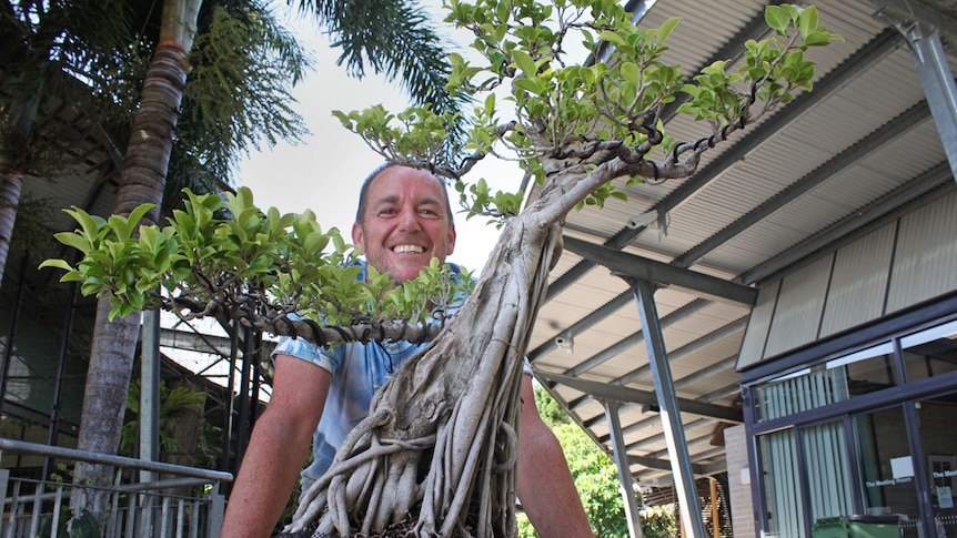 Michael Watt with his bonsai fig tree