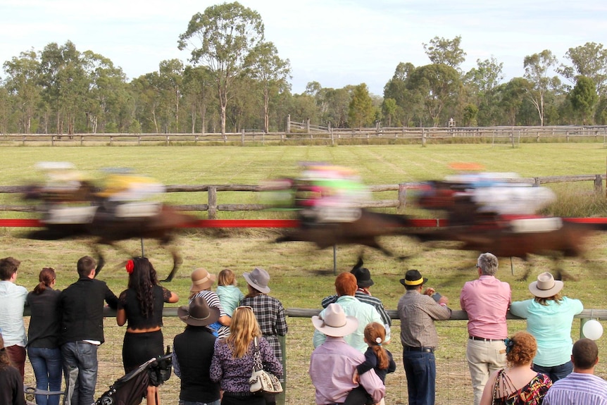 Crowd at a country race meet watch horses race past