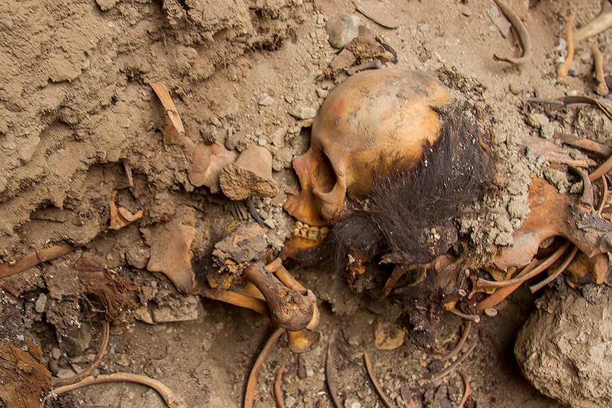 Archaeologists excavate one of 31 skeletons recently found in a temple