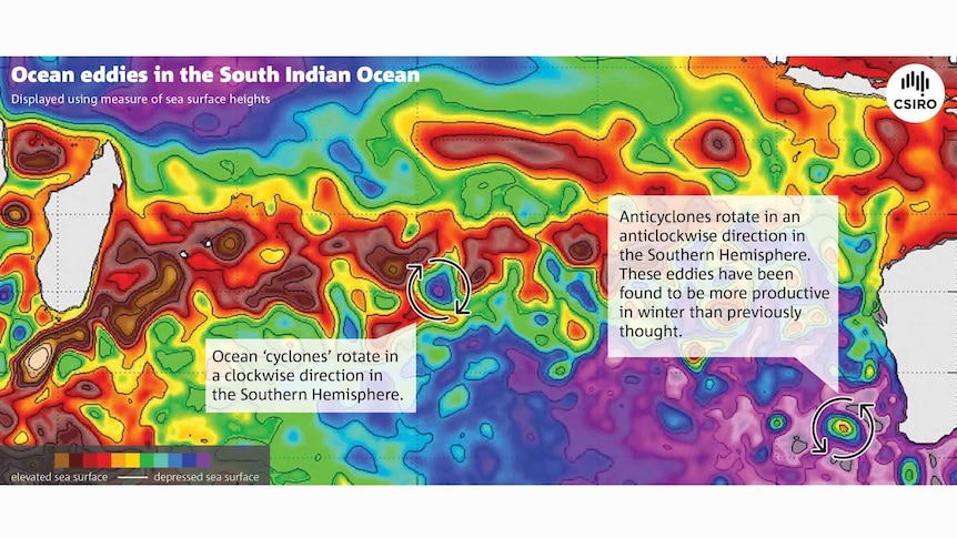 Map of ocean eddies in South Indian Ocean.