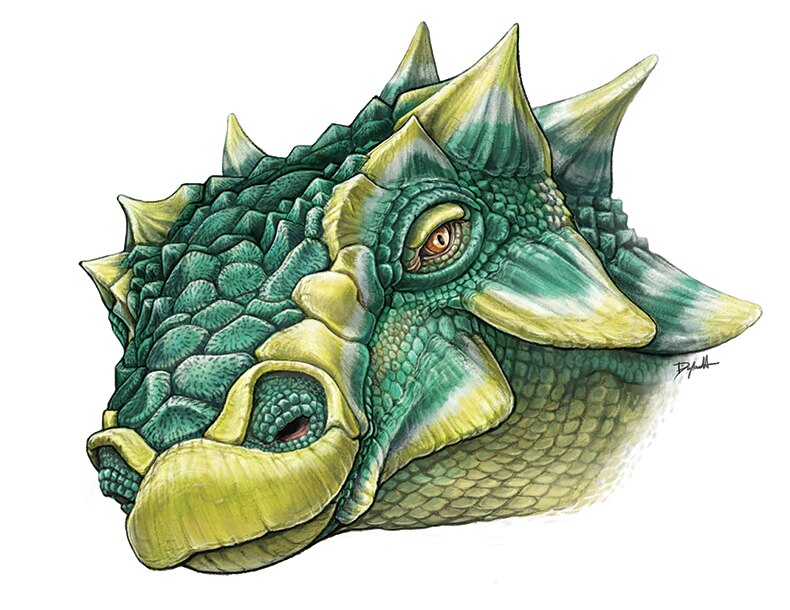 Zuul: Spiky, armoured dinosaur that lived 75 million years ago named ...