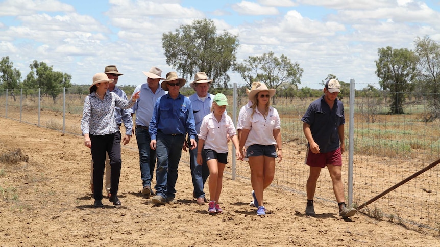 Premier Annastacia Palaszczuk with the Macmillan family and other politicians walking along a wild dog proof fence.