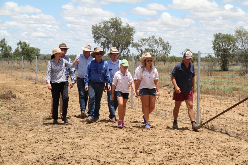Premier Annastacia Palaszczuk with the Macmillan family and other politicians walking along a wild dog proof fence.