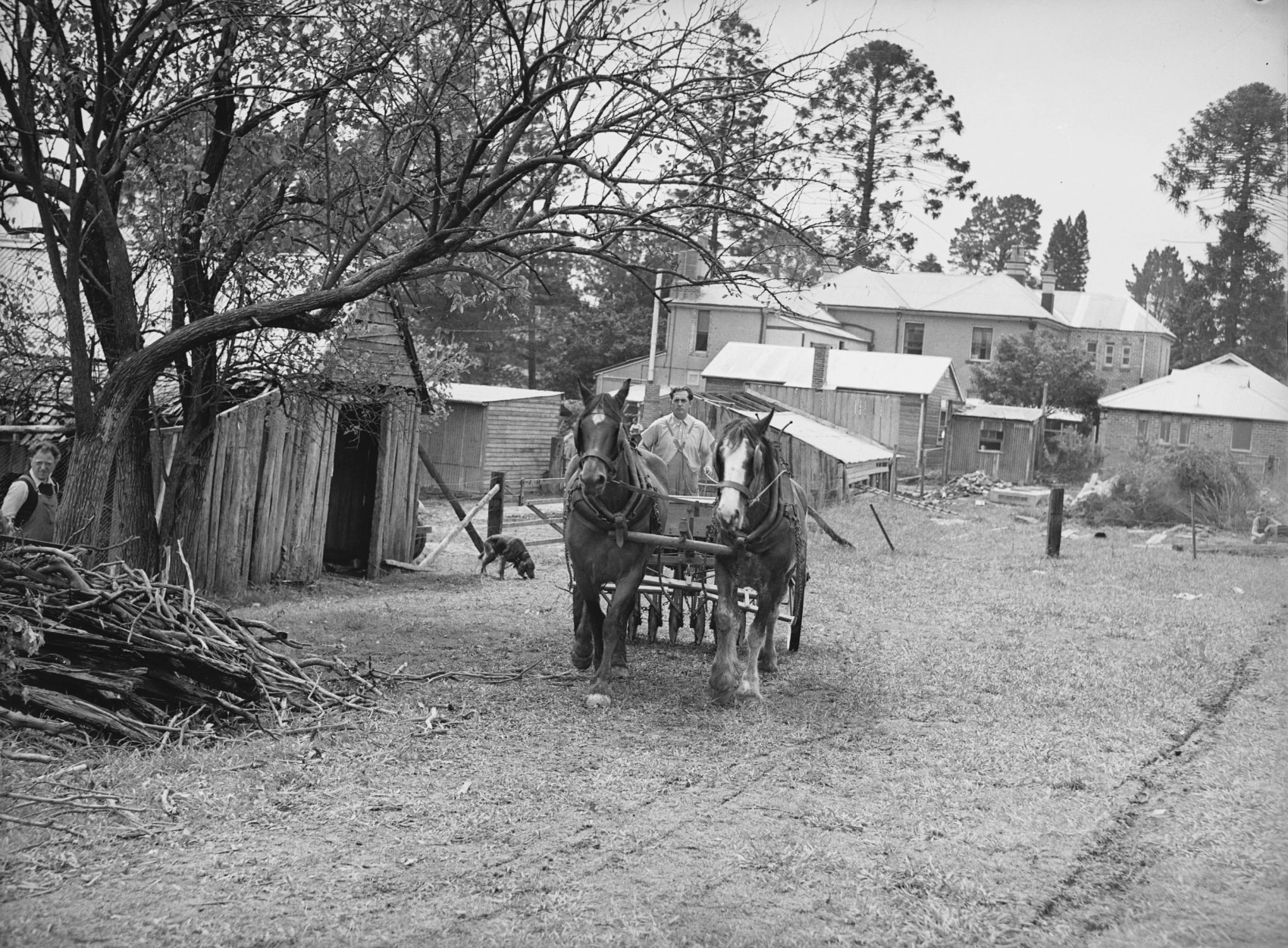 A man on a horse drawn cart, with a historic property in the background. The photo is in black and white.