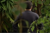 A man standing with his back to the camera in his lush green garden.