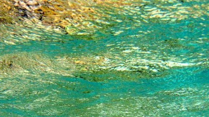 Part of the Great Barrier Reef reflects on the underside of the ocean's surface