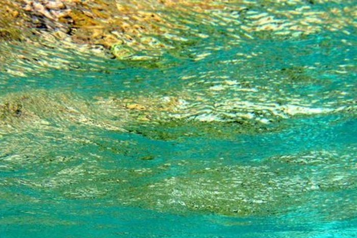 Part of the Great Barrier Reef reflects on the underside of the ocean's surface (Naomi Brookfield, file photo: User submitted)