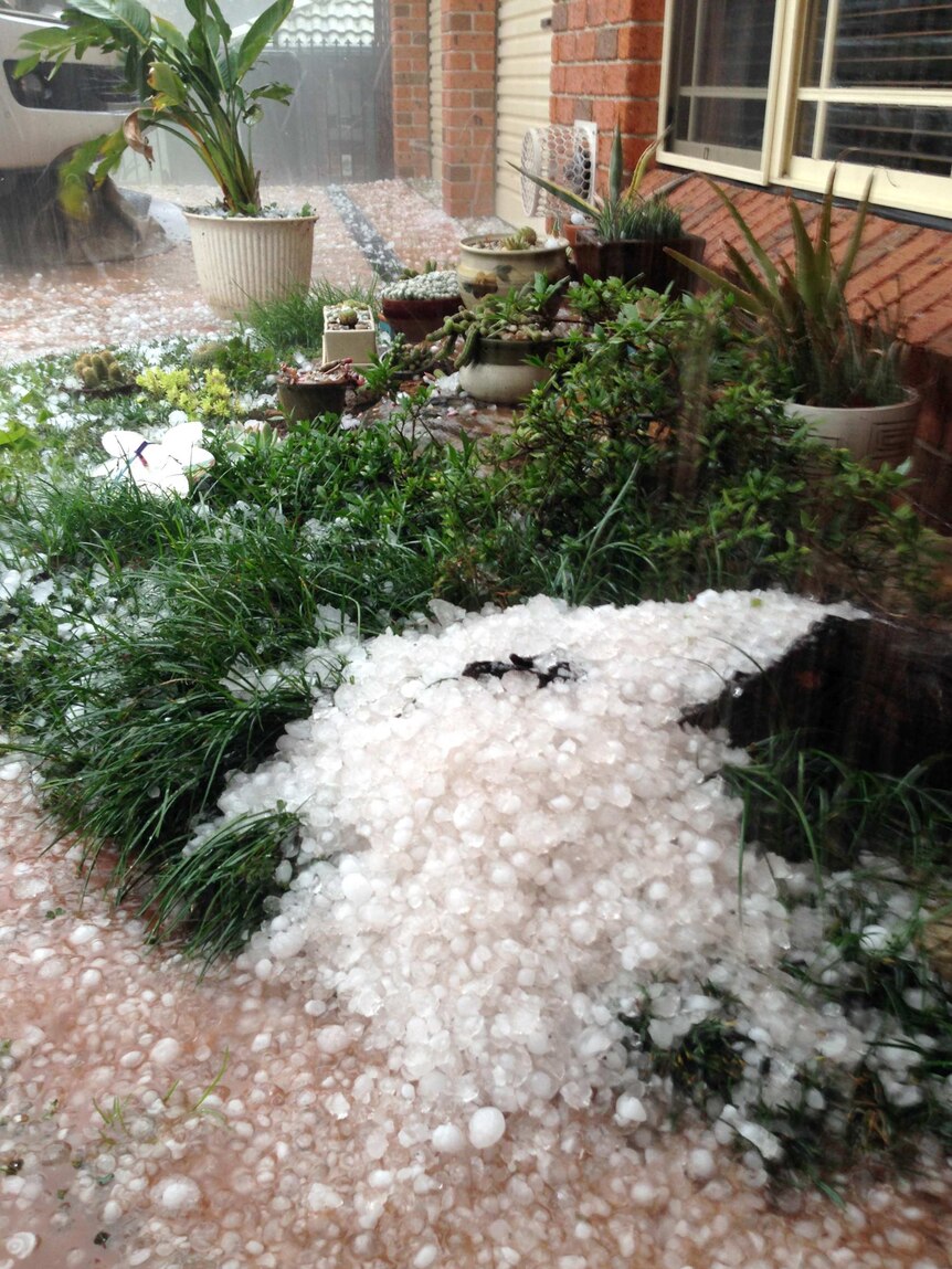 Hail storm at Faulconbridge