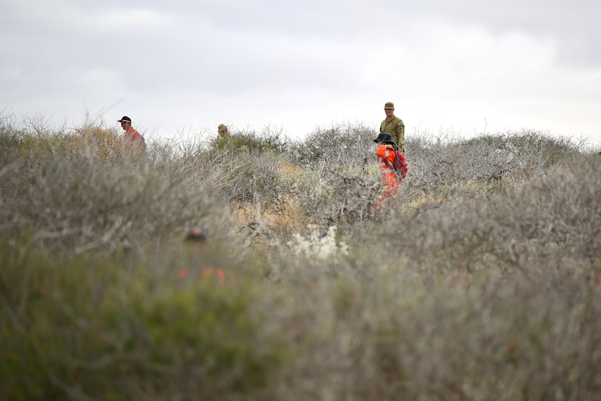 SES and ADF personnel can be seen in coastal scrub as they conduct a line search.