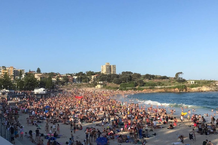 People on a beach.