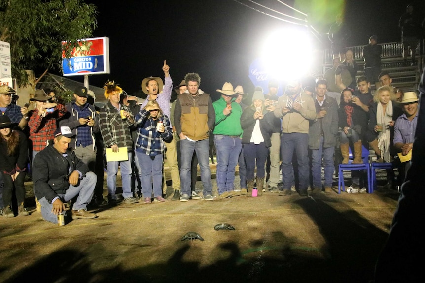 Thirty people standing around the yabby arena.