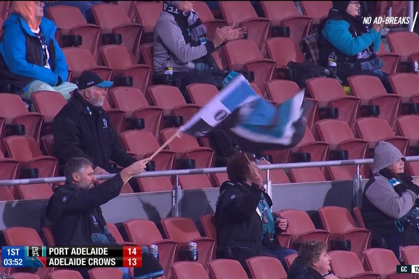 Football fans sitting apart from one another in a large stadium.