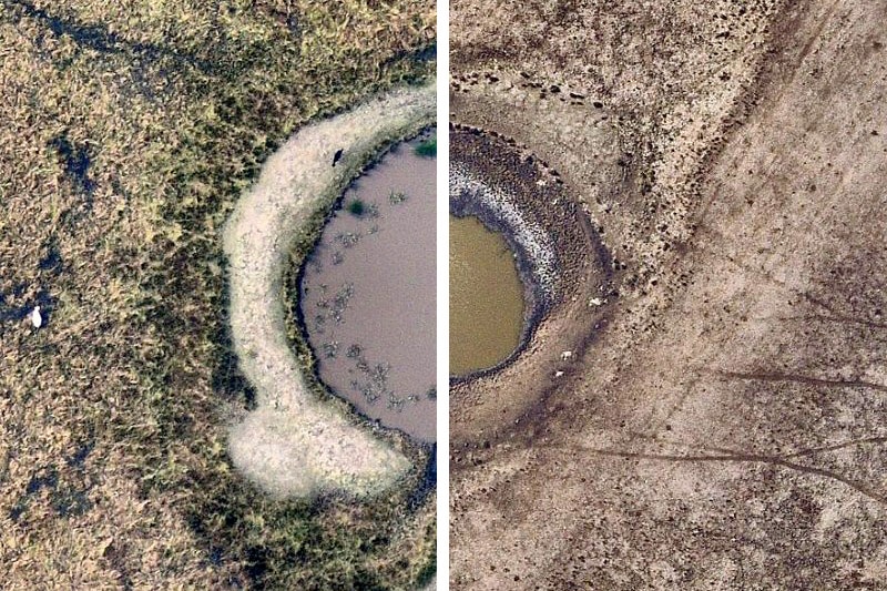 Composite image of a dam showing animals near it and a low water line a year later.