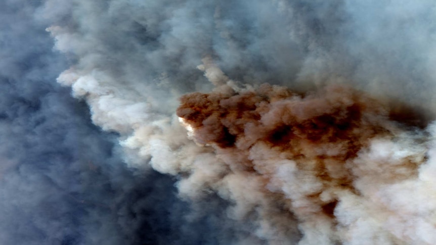 A satellite image shows smoke from a bushfire burning east of Orbost in Victoria, January 4, 2020.