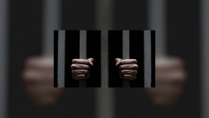 should criminals be punished with lengthy jail terms