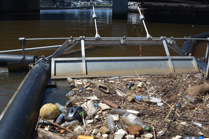a river rubbish catcher filled with waste, including polystyrene and plastic bottles.