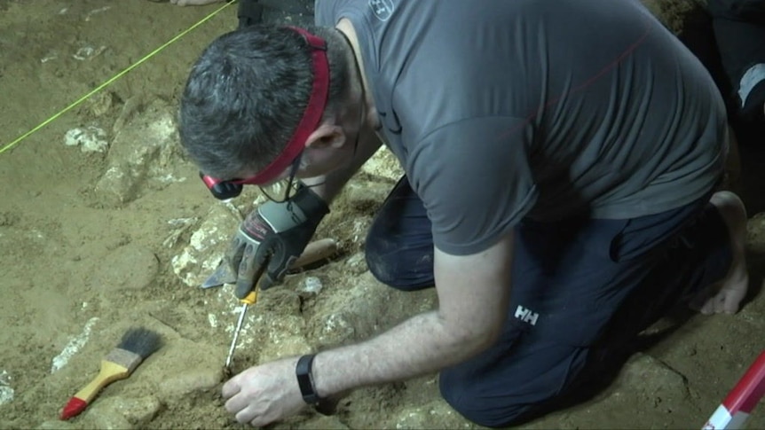 Watch Darren Curnoe at work as he uncovers evidence of ancient life in Trader's Cave