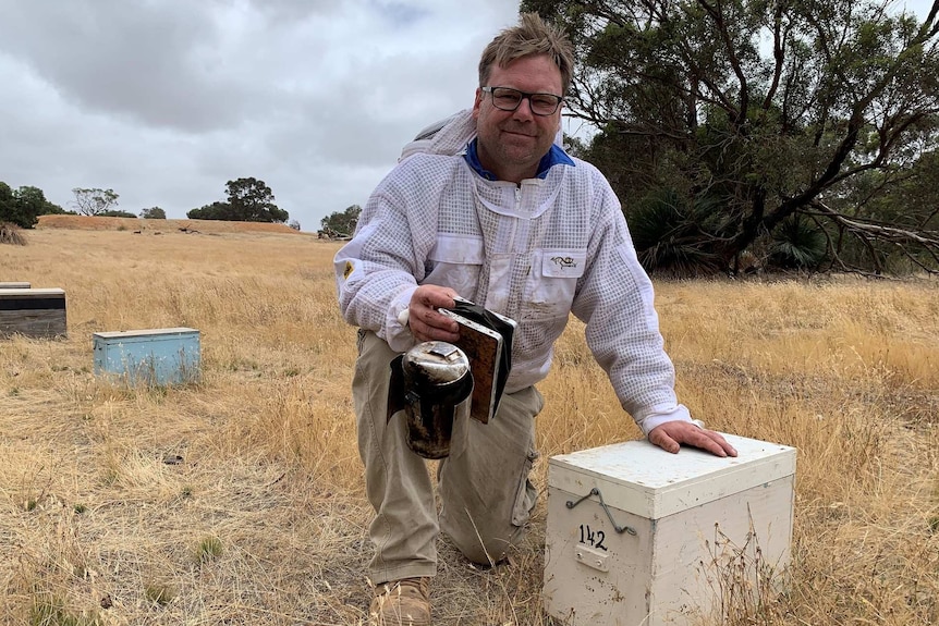 A beekeeper kneels next to an artificial hive in a paddock