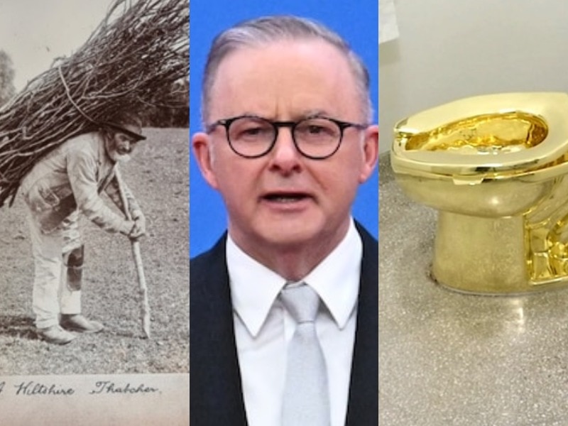 A man carrying sticks, a man wearing glasses and a golden toilet.