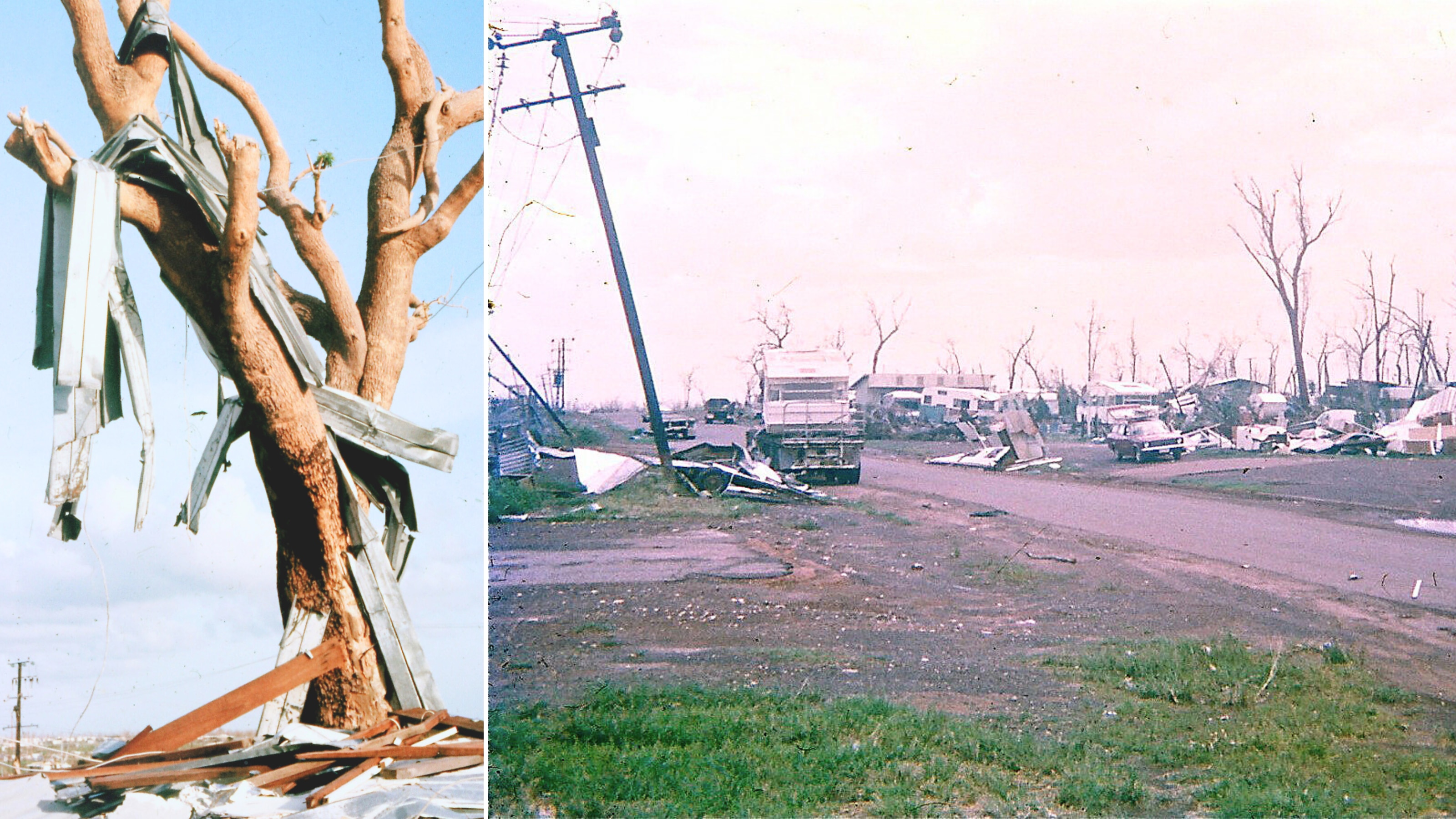 A wide shot of a caravan park with destroyed caravans. Tall trees with no leaves wrapped in sheets of corrugated iron