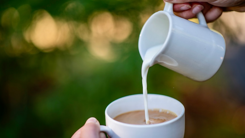 Milk pouring into a cup with soft green background