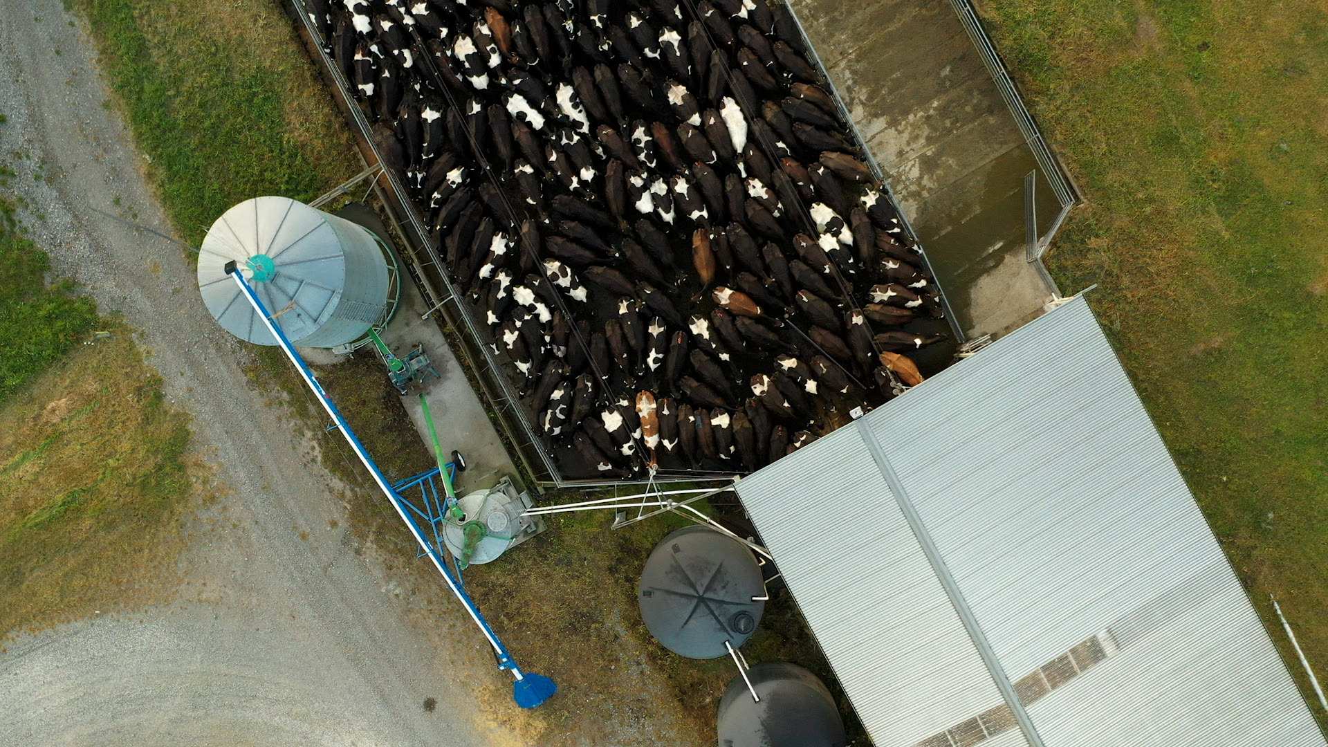 An aerial view of a dairy farm.