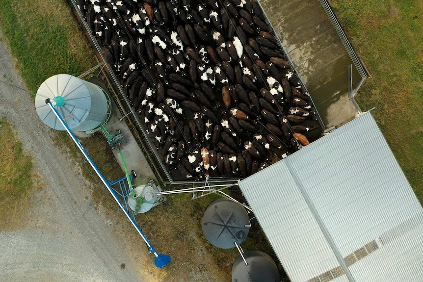 An aerial view of a dairy farm.