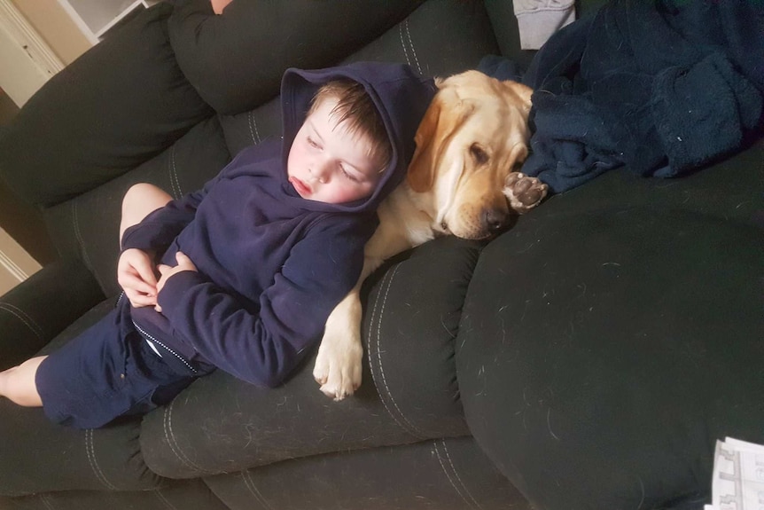A young boy laying on top of a yellow labrador on a couch