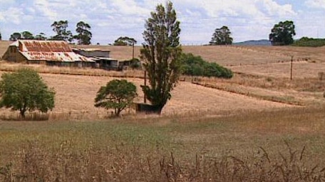 A farm shed surrounded by dry grass