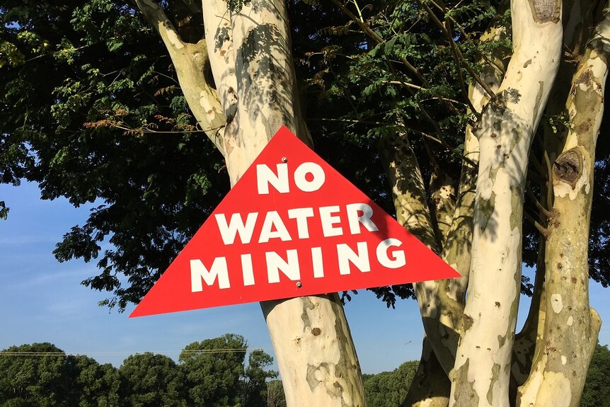 A red No Water Mining sign nailed to a tree.