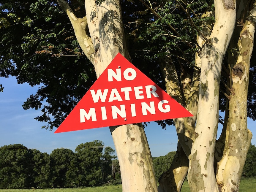 A red No Water Mining sign nailed to a tree.