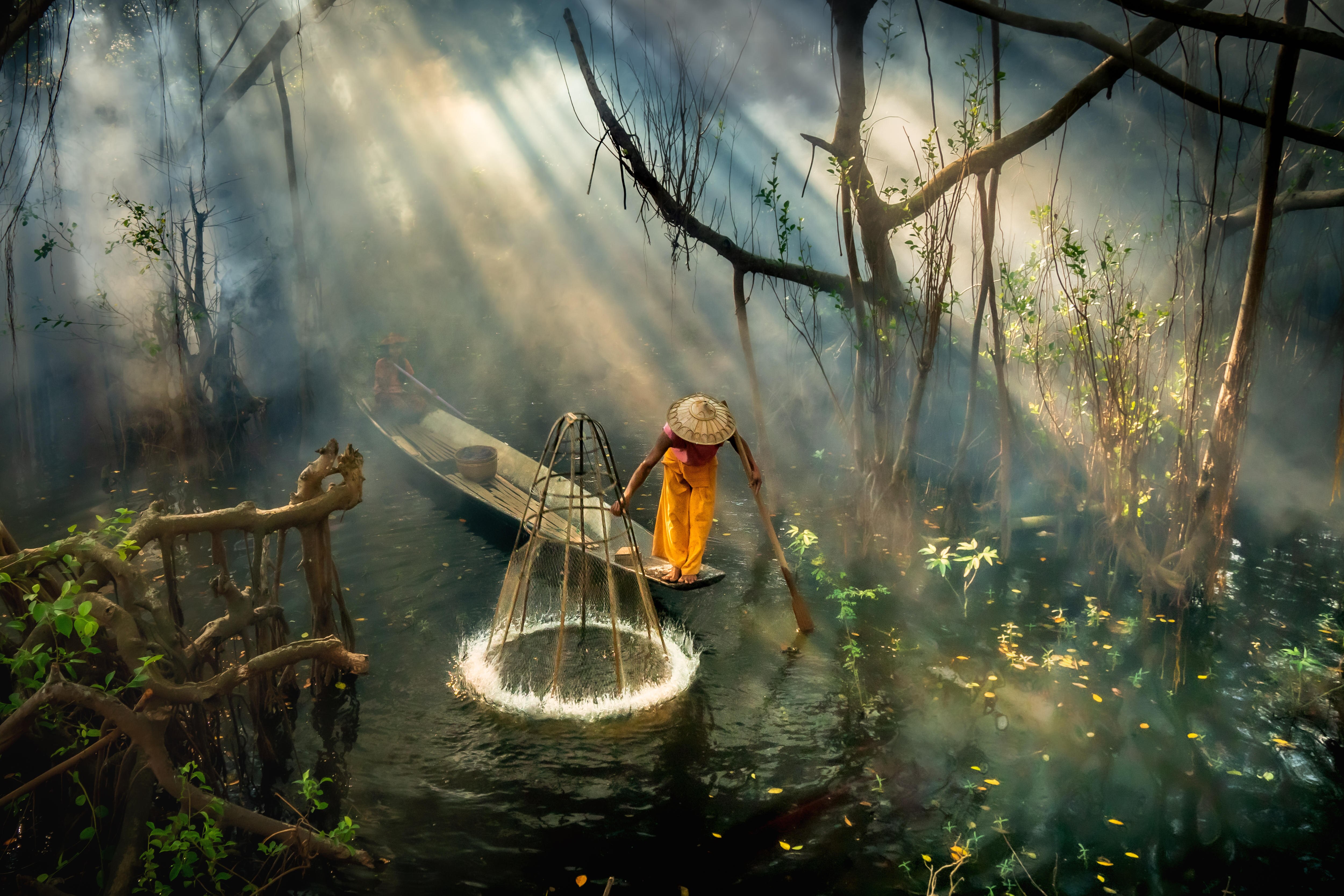 A Burmese fisherman attempts to make a catch in a mangrove forest. The early morning rays of sun light up trees around him