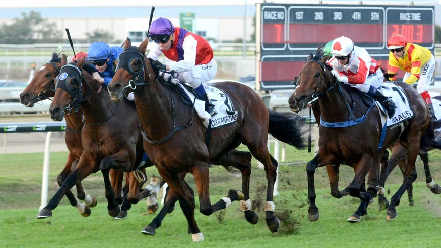 Our Ivanhowe wins Doomben Cup