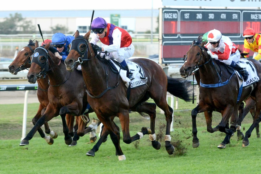 Our Ivanhowe wins Doomben Cup