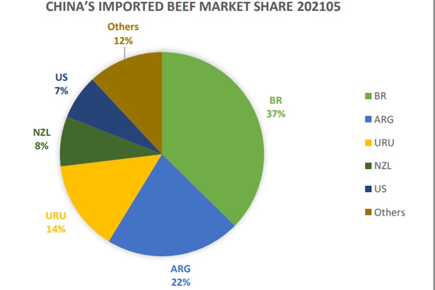 a pie chart 