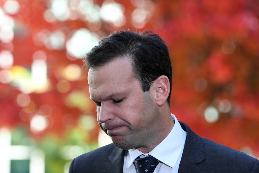 Matt Canavan looks down as he speaks to the media at Parliament House.