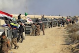Iraqi security forces advance on Ramadi