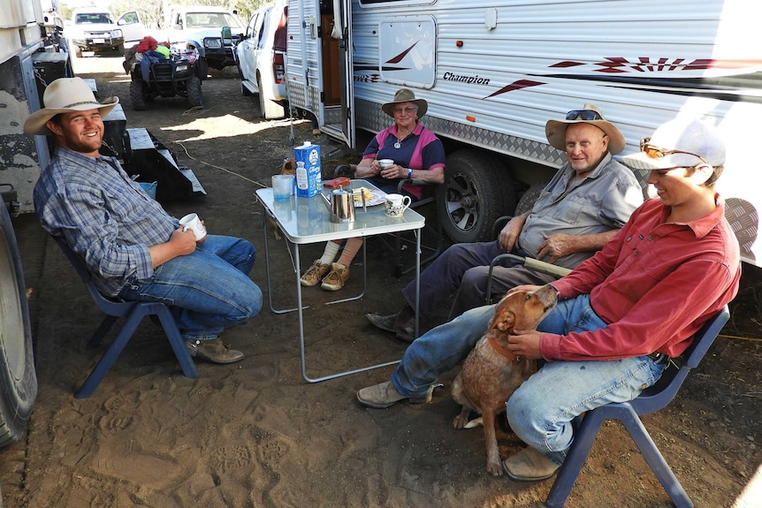 A family of three men and a lady sitting next to a white caravan drinking tea withe a red heeler doing being patted