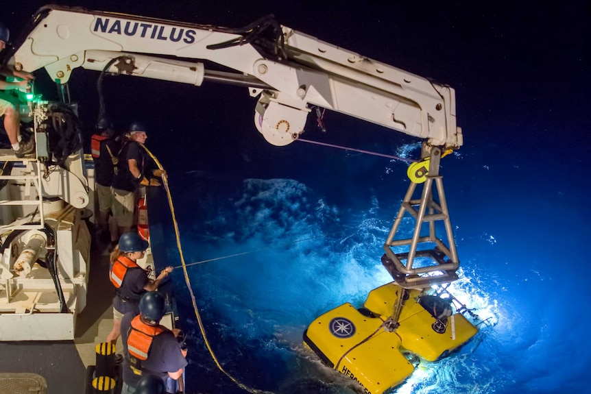 An ROV is lowered into the water