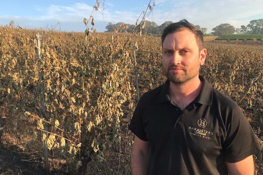 Lachlan Allen from Barristers Block Wines.