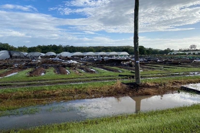 Floodwaters near greenhouses